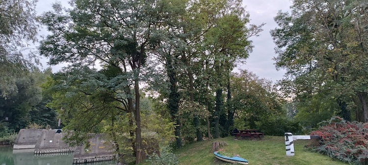 Az invazív ázsiai lódarázs első magyarországi fészkét Kimlén találták meg, a település központjában, egy történelmi emlékhely mellett kialakított kis parkban, egy fa tetején.