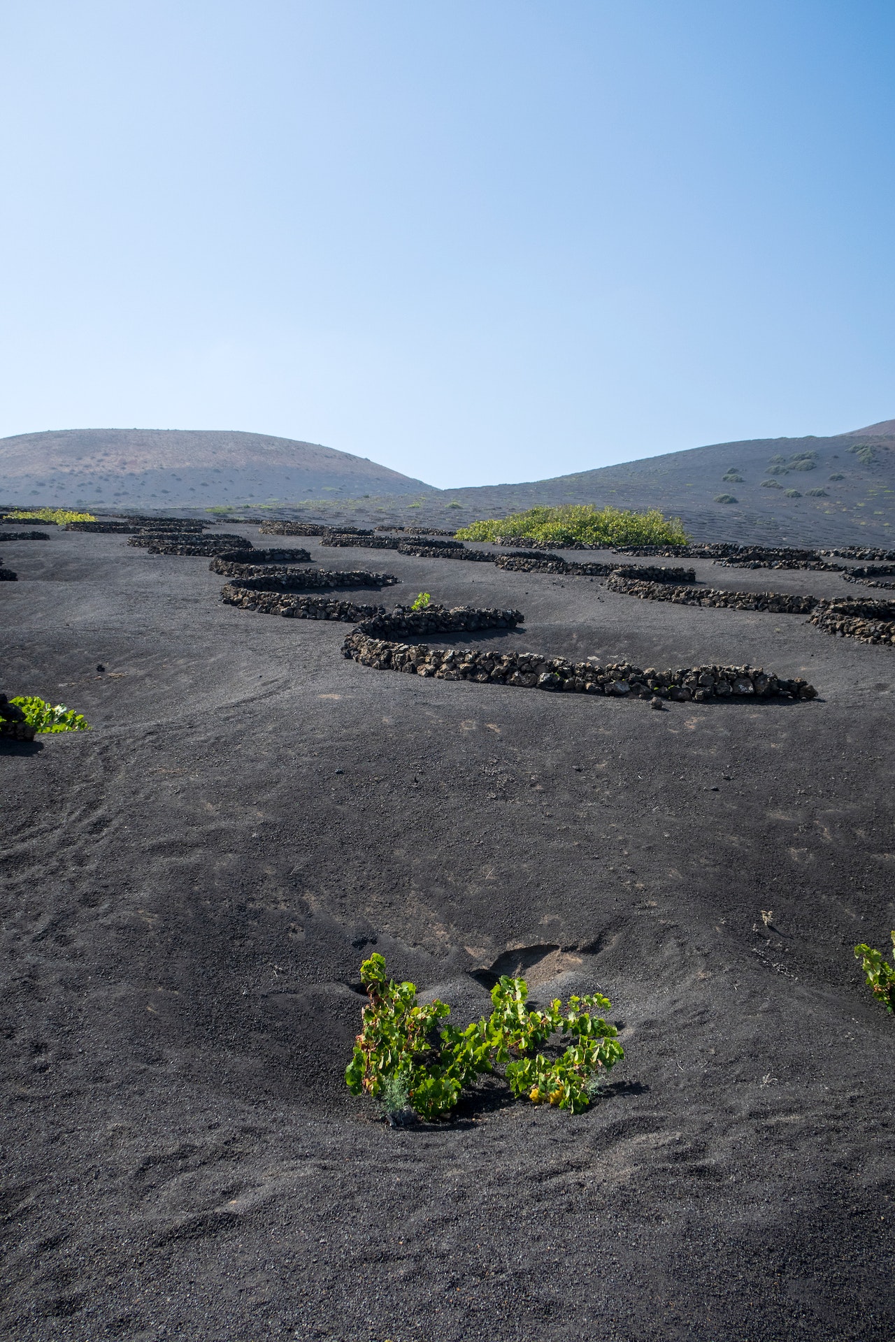 Lanzarote