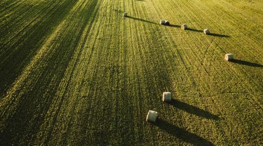 A fenntartható mezőgazdaság jövője