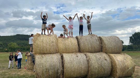 Farm Túra a Breier Farmon – óvodás és iskolás csoportok részére