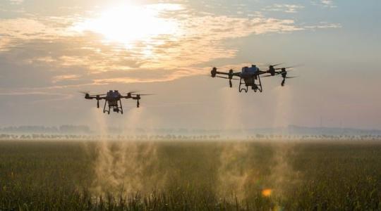 Drónos permetezés: mekkora a permetlé elsodródásának veszélye?