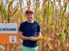 Így lett nyereséges idén a kukoricatermesztés a tolnai gazdánál