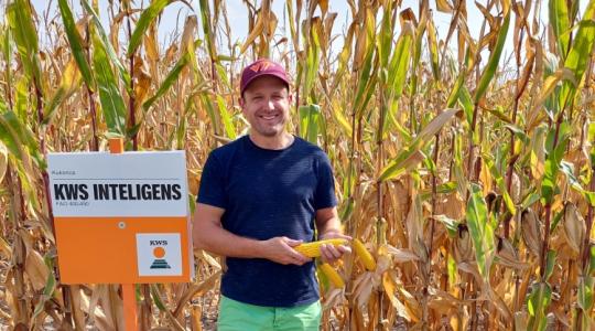 Így lett nyereséges idén a kukoricatermesztés a tolnai gazdánál