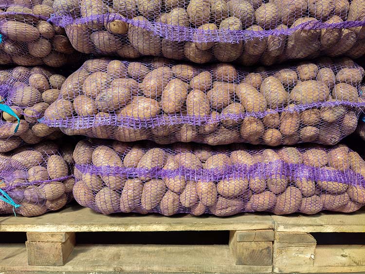 Az AKI PÁIR adatai alapján burgonya termelői ára 46 százalékkal 334 Ft/kg-ra emelkedett a 2023. 26–44. héten az előző év azonos periódusához képest