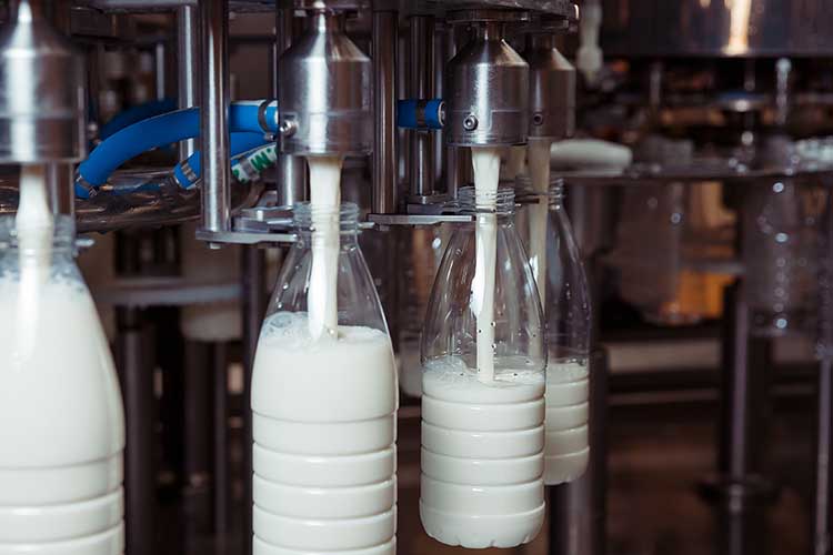 A tej létfontosságú tápanyagokat biztosít szervezetünk számára