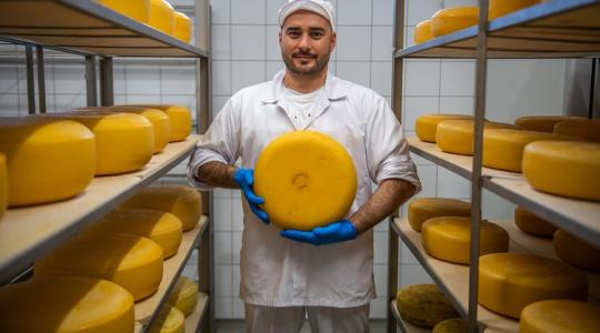 Szénatejből készült magyar sajtok taroltak a világ legrangosabb versenyén