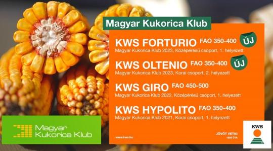 Magyar Kukorica Klub TOP20 kísérletek – KWS hibridek az élen!