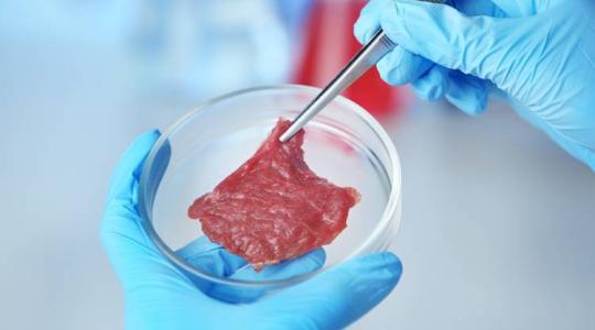 Van olyan ország, ahol már betiltották a mesterséges hús előállítását