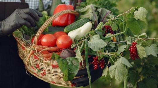 Növelni kell a termelők termékeinek rövid ellátási láncokon keresztüli eladását