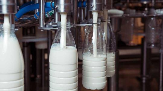 Hatalmas gondokkal küzd a lengyel tejipar