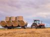 Sokkoló adat! 20 százalékkal estek vissza a mezőgazdasági beruházások