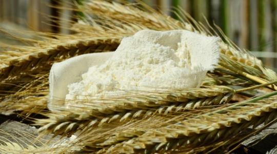 Szlovákia továbbra sem kér az ukrán gabonából