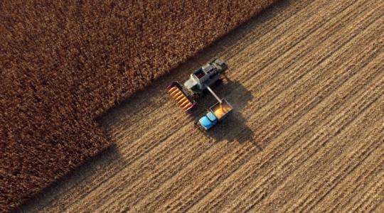 Brazília a világ legnagyobb kukoricaexportőrévé vált