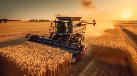 A digitális átállás útján a mezőgazdaságban: egy családi gazdaság sikertörténete