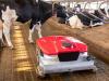 Istállótakarító robot, aminek a tehenek is örülnek