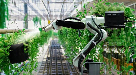 Magyar cégek is fejlesztenek kertészeti robotokat!