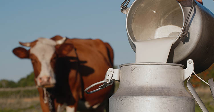 Decemberben további jelentős összegek segítik a tejágazatot 