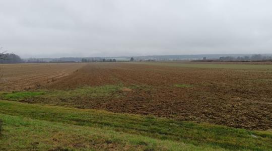 Külföldiek miatt nem jut elég föld a magyar gazdáknak a szlovén határ mellett