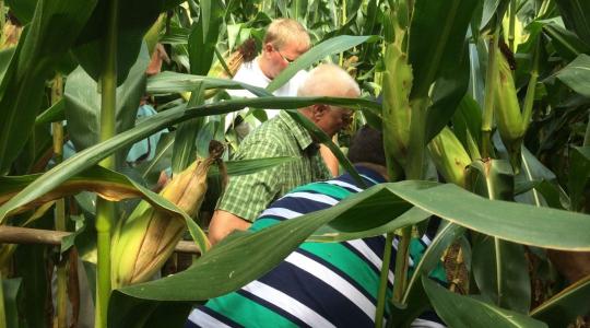 Újabb világrekord született az USA Kukorica Termésversenyében