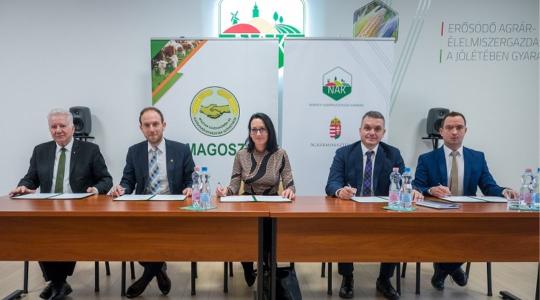Együttműködési megállapodást kötött egymással a MAGOSZ és a FIDELITAS