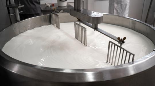 Ez a tejágazatot érintő döntés további három évre szól