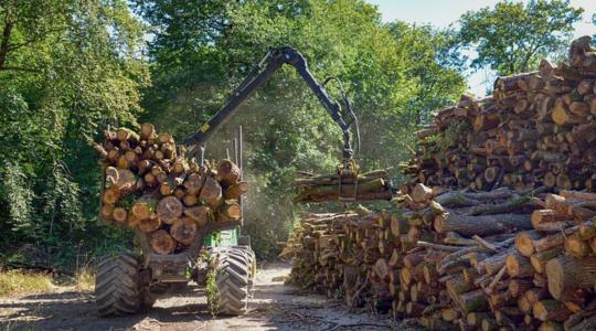 Ezeket a jogszabályokat módosították az erdőgazdálkodásban