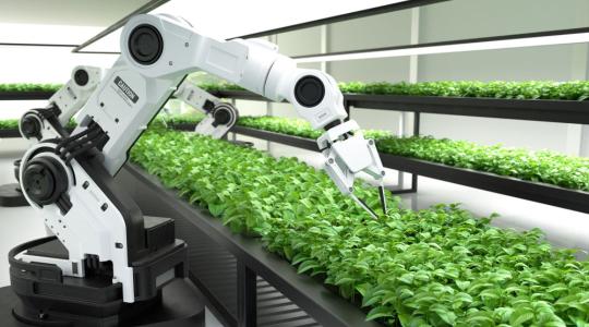 Robotok a mezőgazdaságban – azonnal rendelkezésre álló munkaerőt és gyors munkát garantálnak
