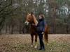 Megmentették az utókornak: sikeres a muraközi ló génmegőrzési program