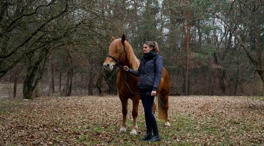 Megmentették az utókornak: sikeres a muraközi ló génmegőrzési program
