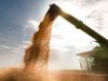 Az orosz agrártermékek importtilalma felfelé hajtaná a gabonaárakat?
