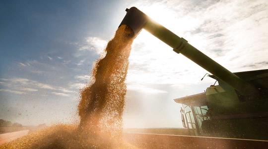 Az orosz agrártermékek importtilalma felfelé hajtaná a gabonaárakat?
