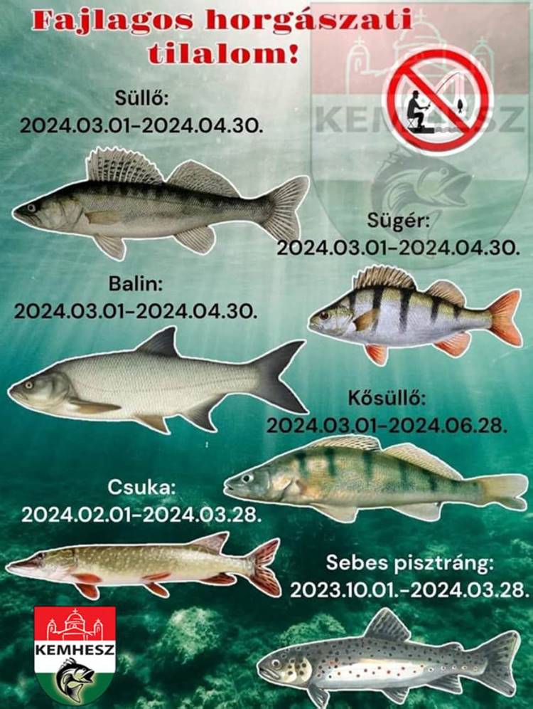 horgász tilalom