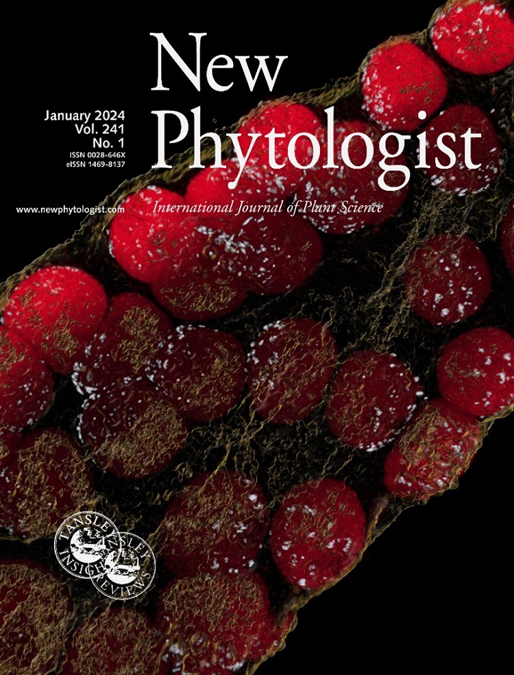 A rangos New Phytologist tudományos folyóirat 