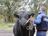 Visszalépéstől tart az állattenyésztő szakma, csökkenhet a támogatás?
