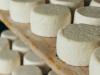Kóser tejtermékekkel az európai piacot célozza az Alföldi Garabonciás Kft. új tulajdonosa