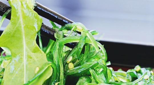 A kék-zöld algák lehetnek leginkább alkalmasak a húshelyettesítő fehérjék előállítására
