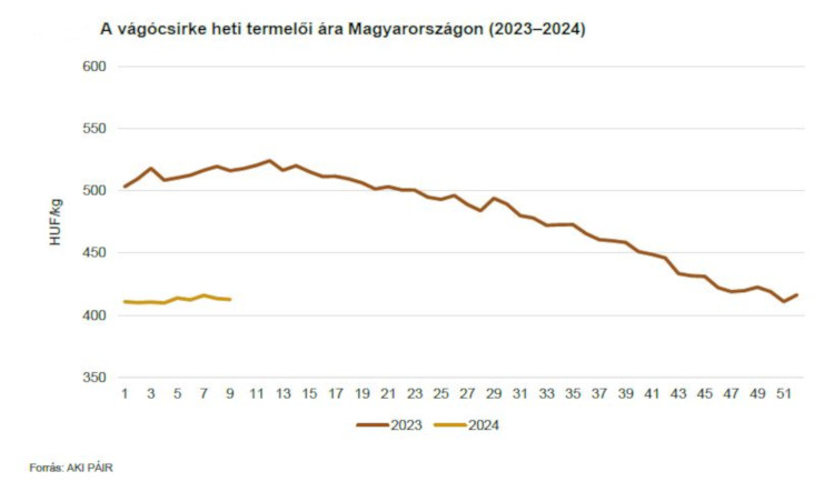 A vágócsirke heti termelői ára Magyarországon