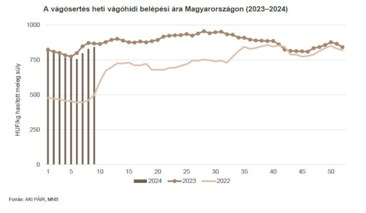 A vágósertés vágóhídi belépési ára Magyarországon