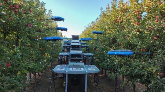 Van, ahol már repülő robotok szedik az almát, a barackot +VIDEÓ