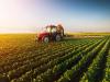 Brutális agrártörvénycsomag: 20 törvény módosítására tettek javaslatot
