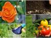 Tavaszi kerti teendők, nélkülözhetetlen tudnivalók, praktikák