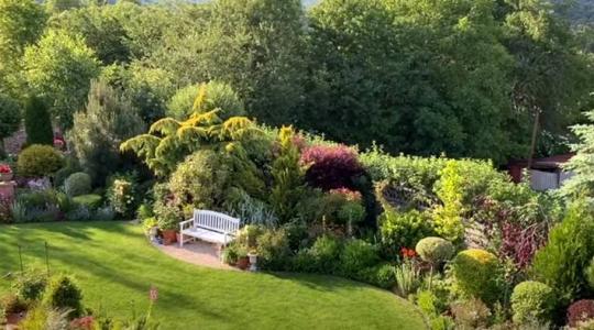 Így lesz kevés munkával gyönyörű a kerted +VIDEÓ