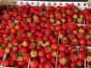 Elégedetlenkednek az európai termelők: hatalmasat esett sokak kedvenc gyümölcsének az ára
