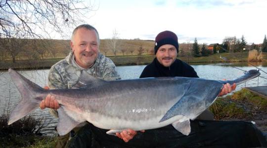 Európa-rekordot jelentő halat fogott ki egy magyar horgász