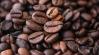 Egy új vizsgálat segíthet a jövő arabica kávéjának kinemesítésében