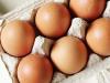 Alacsonyan a vágócsirke ára, de a tojás ára zuhan borzalmasan