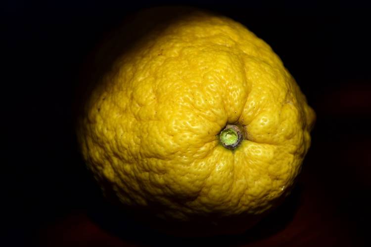 cédrát citrom