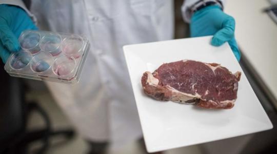 A FAO megállapította: a műhús nem környezetbarátabb, mint az igazi