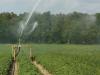 Mezőgazdasági vízgazdálkodás: ilyen támogatási feltételekkel számolhatunk