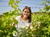 A borkészítés a szőlőben kezdődik – beszélgetés Bárdos Saroltával, a 2024-es Borászok Borászával